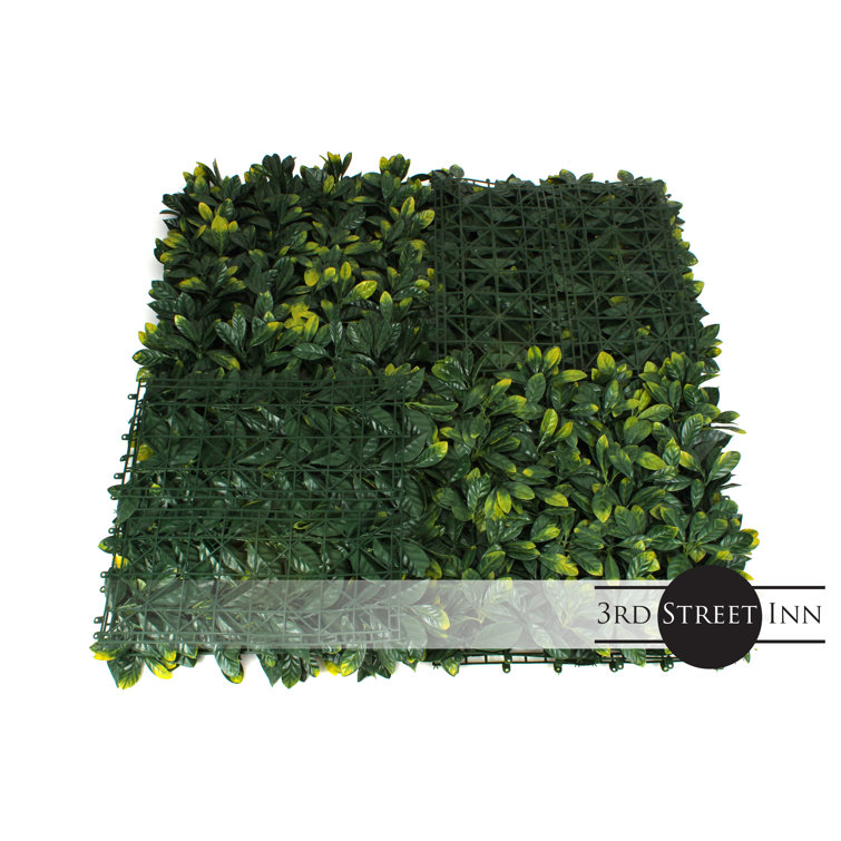 3rd Street Inn 2'' Faux Boxwood Hedge Wayfair Canada